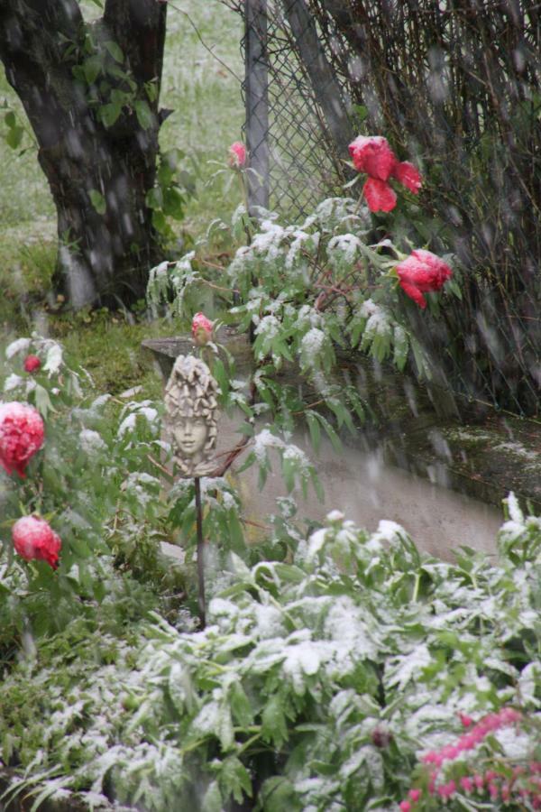 Fewo - Wohlfuehlambiente & Gartenparadies Modautal Luaran gambar