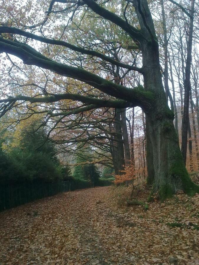 Fewo - Wohlfuehlambiente & Gartenparadies Modautal Luaran gambar