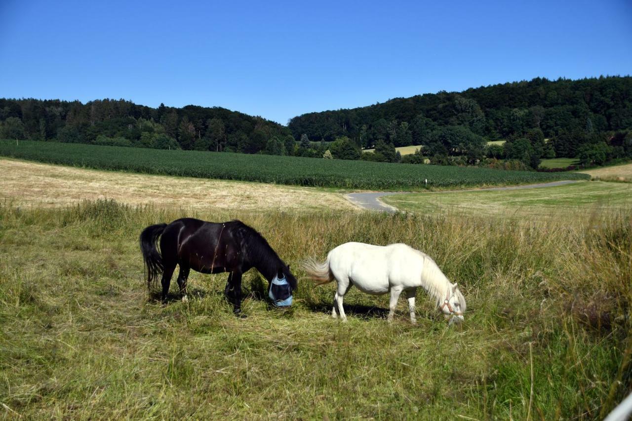 Fewo - Wohlfuehlambiente & Gartenparadies Modautal Luaran gambar